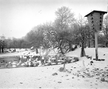 880274 Gezicht in het besneeuwde Julianapark aan de Amsterdamsestraatweg te Utrecht, met in de vijver een wak met ...